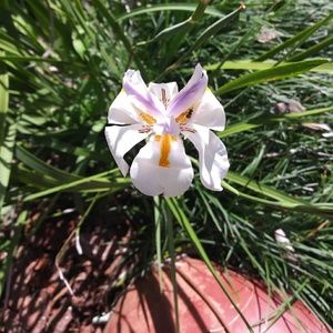 Meet your Posher, Patti